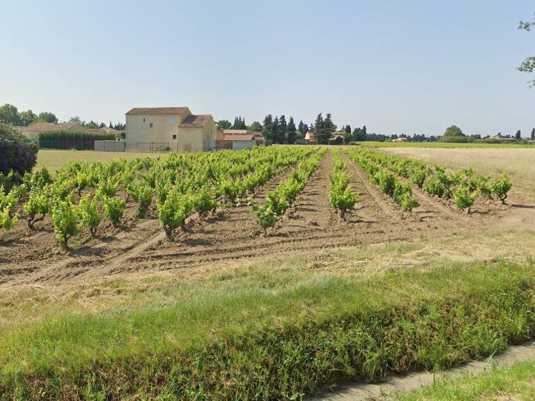 A vendre : Terrain à bâtir VIOLES ( 84150) — photo 1