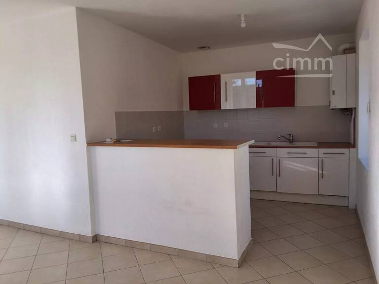 Grand T3 avec terrasse et jardin à louer à ST BARTHELEMY DE VALS — photo 1
