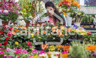 Commerce  180 m² à vendre à Treize-Septiers (85600)