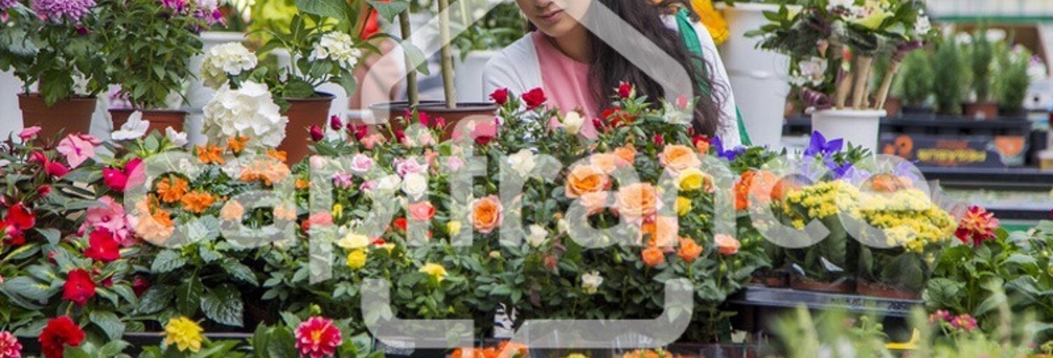 Commerce  180 m² à vendre à Treize-Septiers (85600)