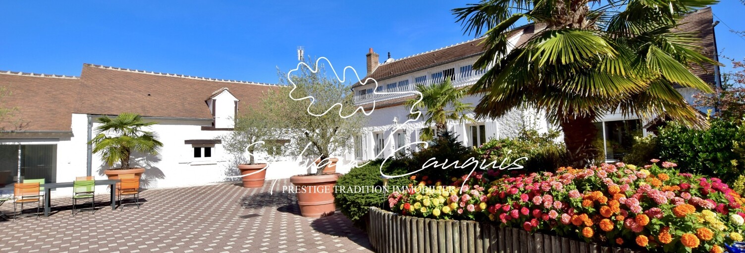 Maison 11 Pièces 394 m² à vendre à Châteauneuf-sur-Loire (45110)