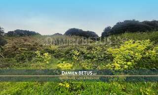 Terrain  2931 m² à vendre à L'Île-d'Yeu (85350)