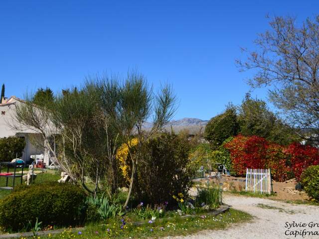 Propriété de plain-pied à vendre 5 pièces POURRIERES (83) 2725m² de terrain et SPA — photo du bien