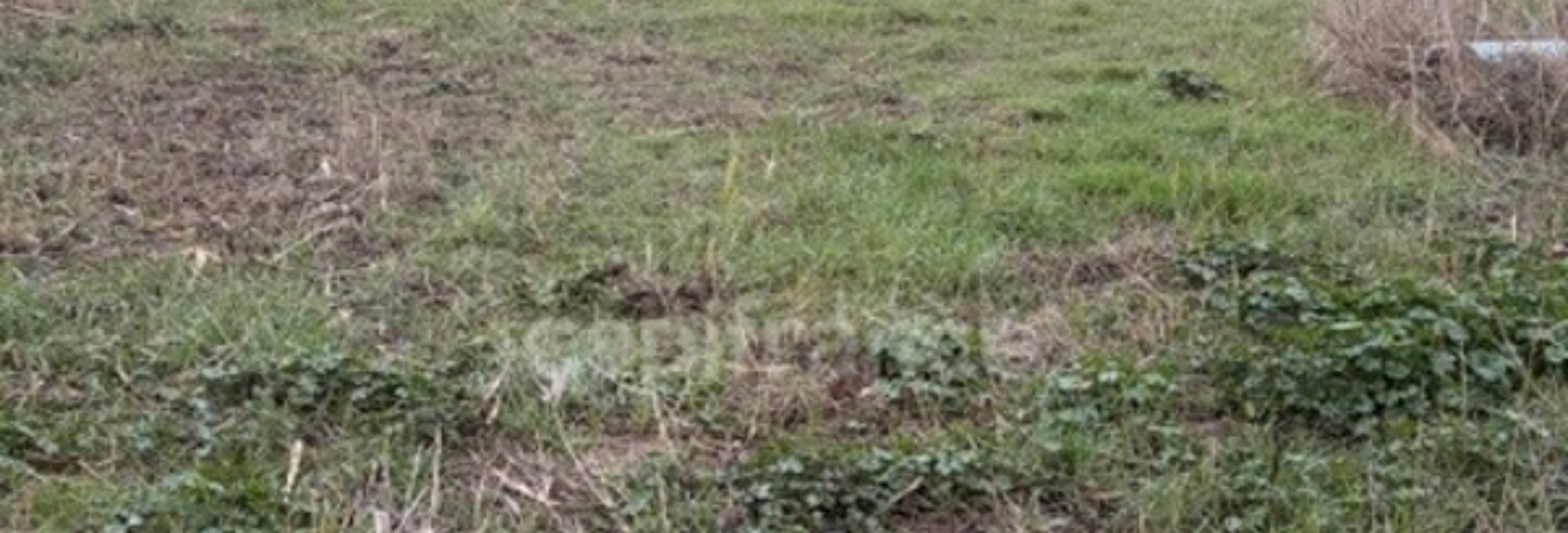 Terrain  6250 m² à vendre à Narbonne (11100)