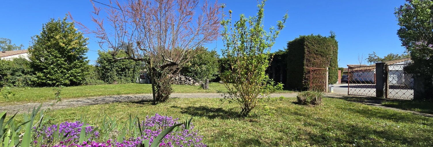 Photo N° 2