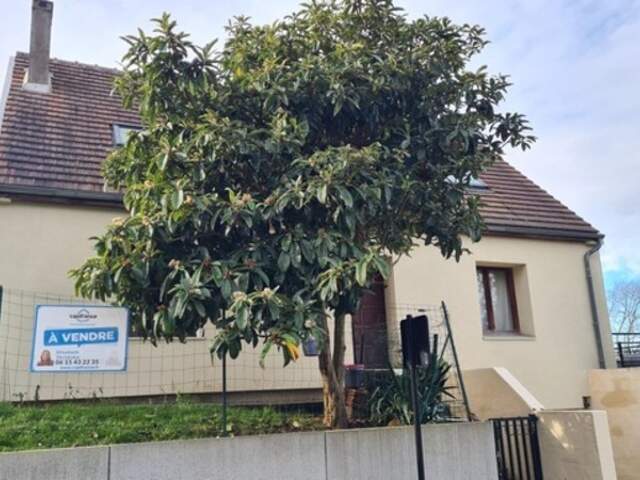 Maison à vendre 6 pièces - sous-sol total CHESSY (77) — photo du bien