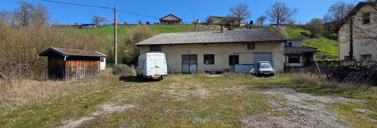 Maison  300 m² à vendre à Viriville (38980)