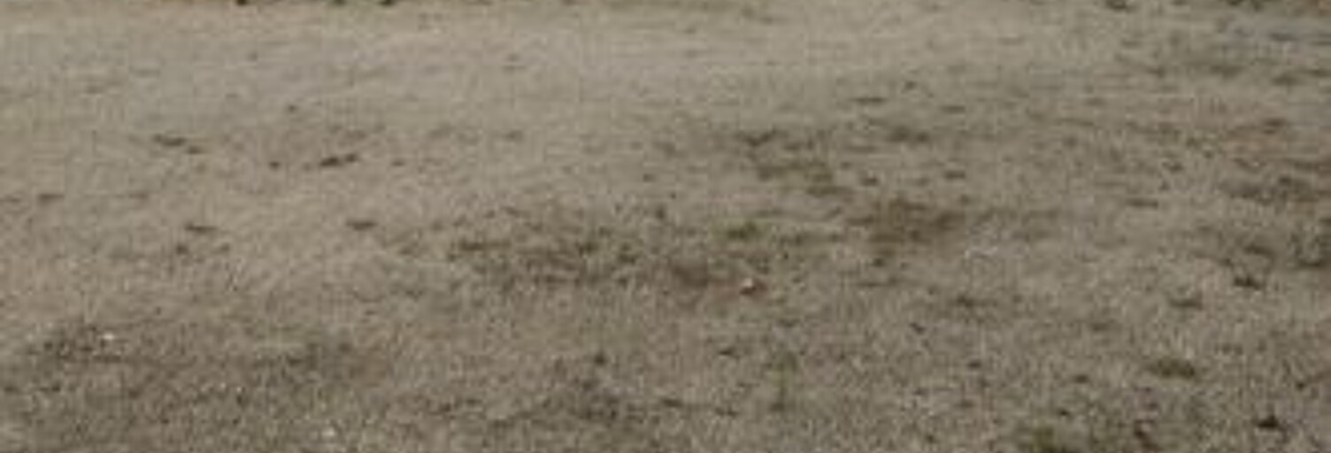 Appartement 1 Pièce 21 m² à louer à Grâces (22200)