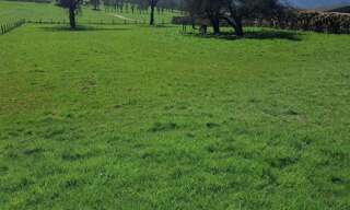 Terrain  1780 m² à vendre à Hyémondans (25250)