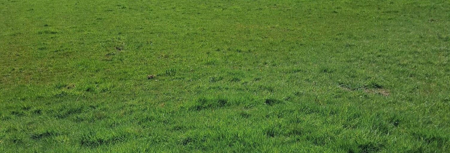 Terrain  1780 m² à vendre à Hyémondans (25250)