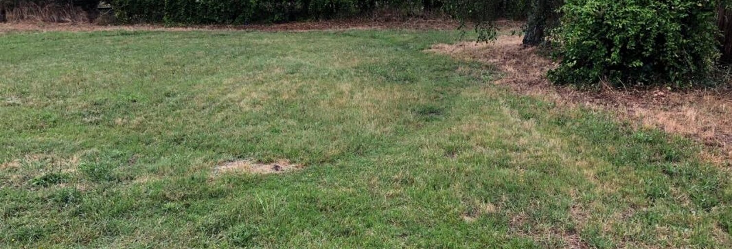 Maison 90 m² à construire Gujan-Mestras (33470)