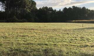 Maison 100 m² à construire Le Teich (33470)