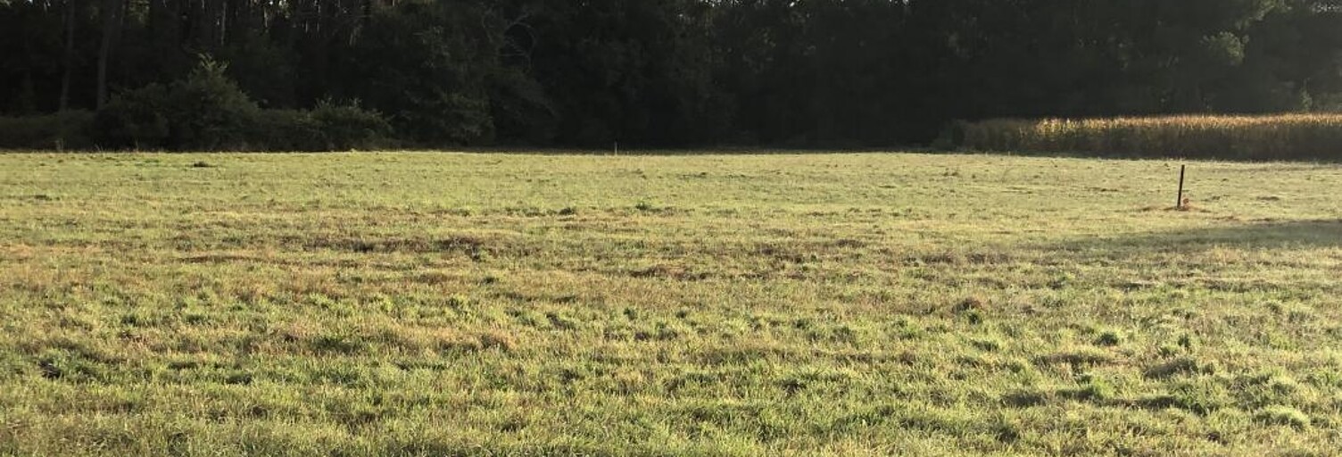 Maison 100 m² à construire Le Teich (33470)