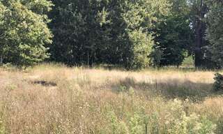 Maison 90 m² à construire Le Teich (33470)