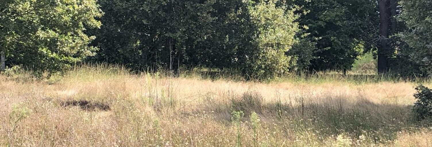 Maison 90 m² à construire Le Teich (33470)