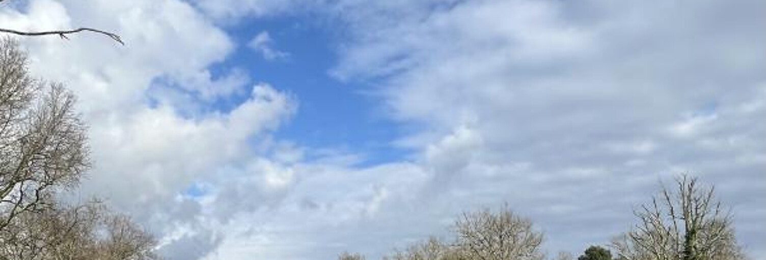 Terrain 1060 m² à construire Saint-Selve (33650)