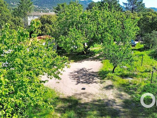 Terrain constructible Ste Lucie de Porto-Vecchio — photo du bien