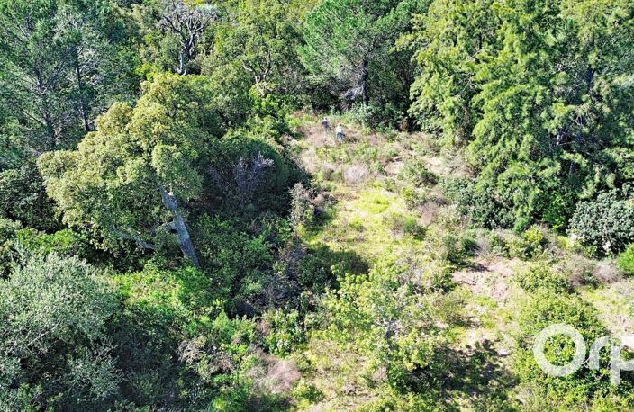 Terrain constructible Ste Lucie de Porto-Vecchio — photo 2