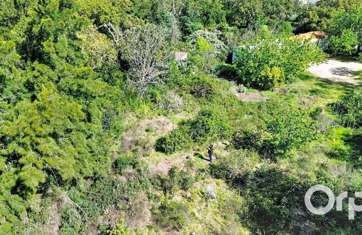 Terrain constructible Ste Lucie de Porto-Vecchio — photo 4
