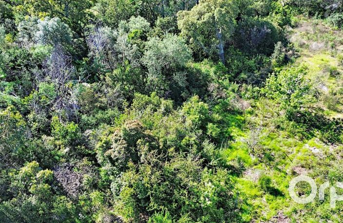 Terrain constructible Ste Lucie de Porto-Vecchio — photo 5