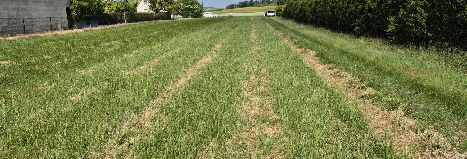 Terrain  3234 m² à vendre à Gélannes (10100)