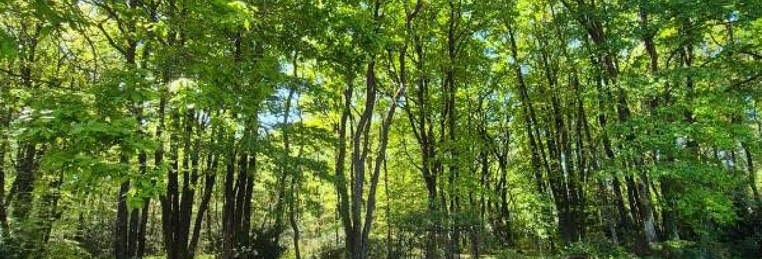 Maison 7 Pièces 250 m² à vendre à Herbignac (44410)