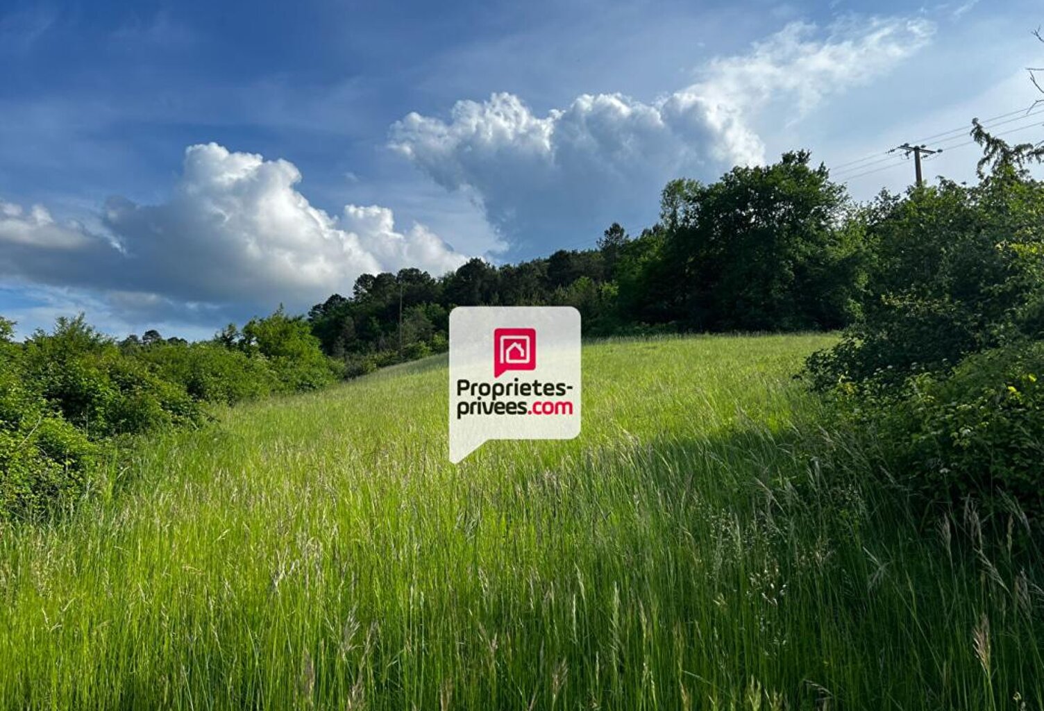 Beau terrain constructible et arboré de 3350 m² situé proche du bourg de SAINT-PAUL-DE-SERRE (24380) — photo 1