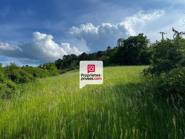 Beau terrain constructible et arboré de 3350 m² situé proche du bourg de SAINT-PAUL-DE-SERRE (24380) — photo du bien