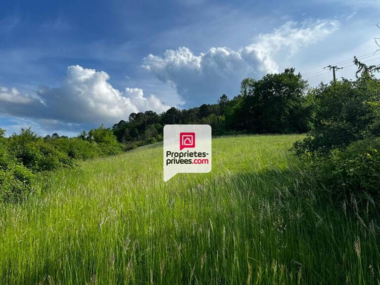 Beau terrain constructible et arboré de 3350 m² situé proche du bourg de SAINT-PAUL-DE-SERRE (24380) — photo 1