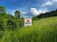 Beau terrain constructible et arboré de 3350 m² situé proche du bourg de SAINT-PAUL-DE-SERRE (24380) — photo 2