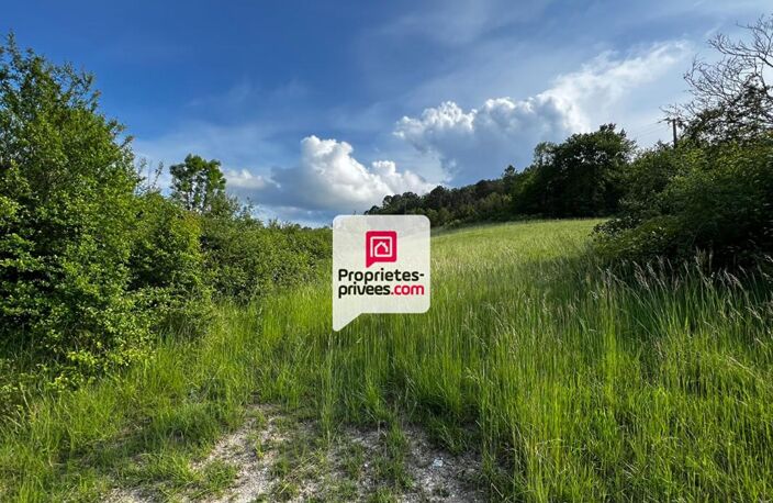 Beau terrain constructible et arboré de 3350 m² situé proche du bourg de SAINT-PAUL-DE-SERRE (24380) — photo 3