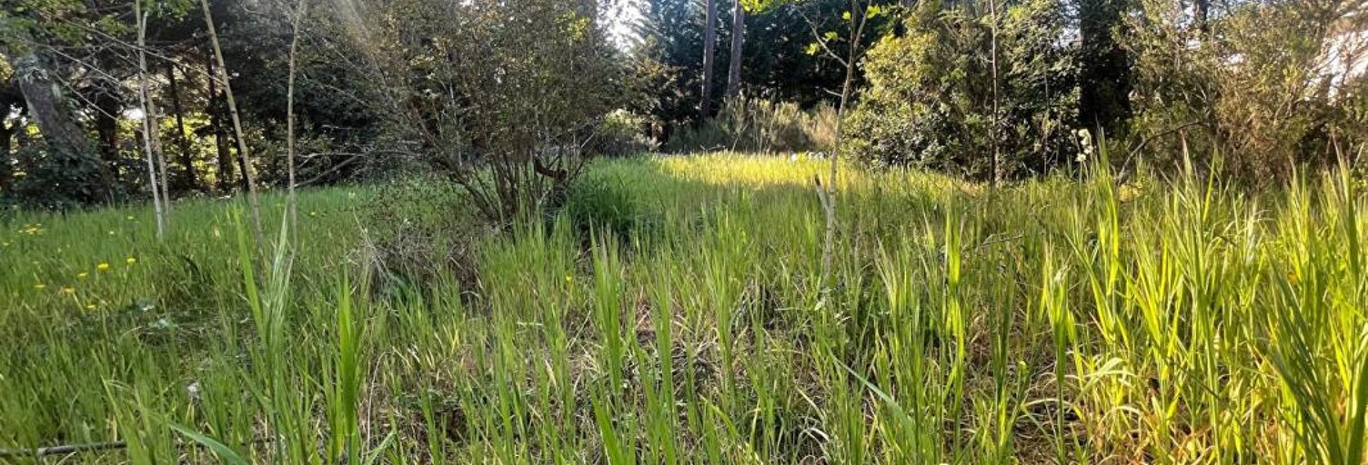 Terrain  830 m² à vendre à Audenge (33980)