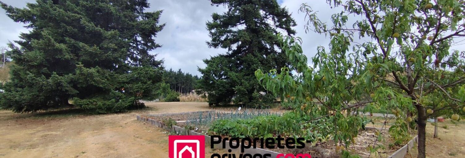 Terrain  1100 m² à vendre à Saint-André-d'Apchon (42370)