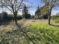 À vendre  Beau terrain à bâtir de 1000 m² à Pontavert — photo 3