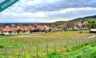 Terrain  1639 m² à vendre à Ammerschwihr (68770)