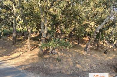 Terrain  45000 €