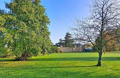 Terrain constructible, havre de paix, centre bourg — photo du bien
