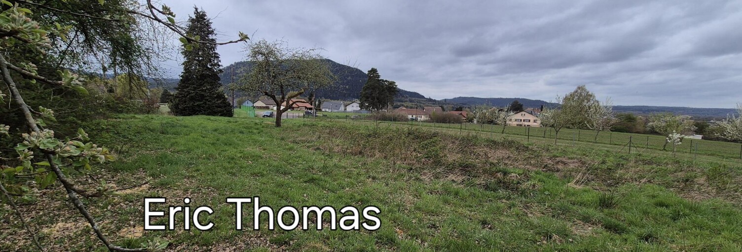 Terrain  4109 m² à vendre à Raon-l'Étape (88110)