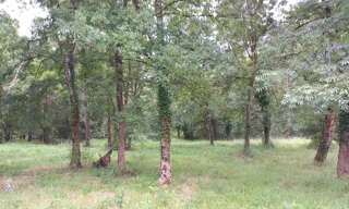 Terrain  1484 m² à vendre à Ménesplet (24700)