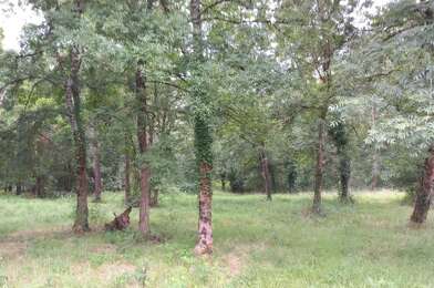 Terrain  33000 €