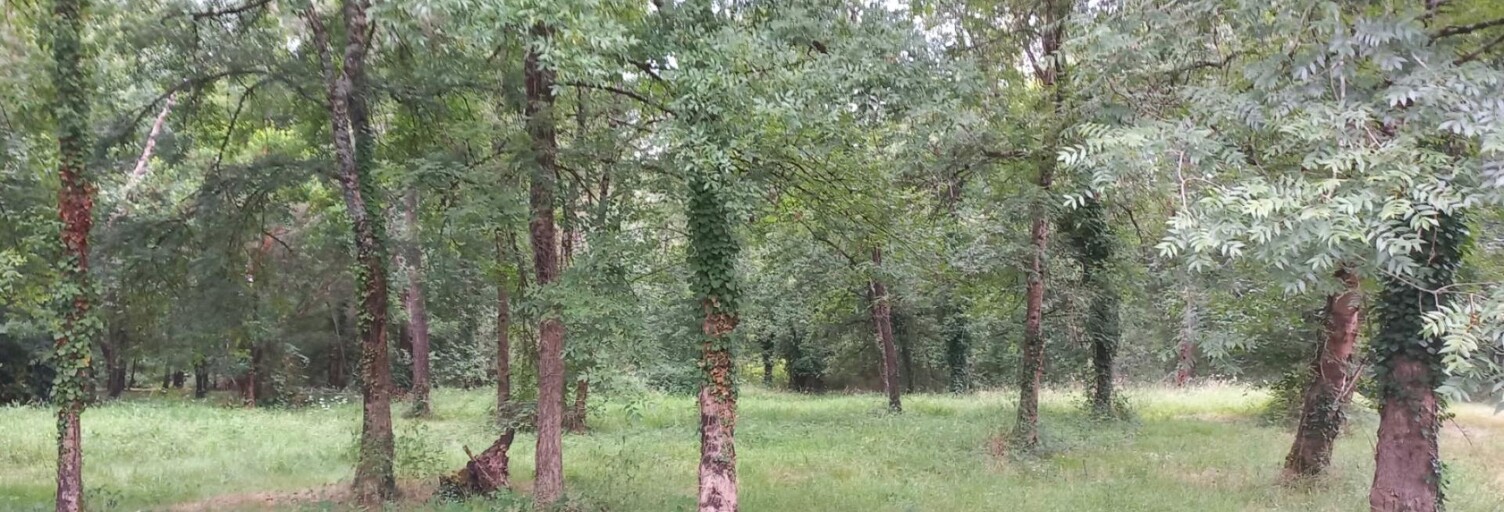 Terrain  1484 m² à vendre à Ménesplet (24700)