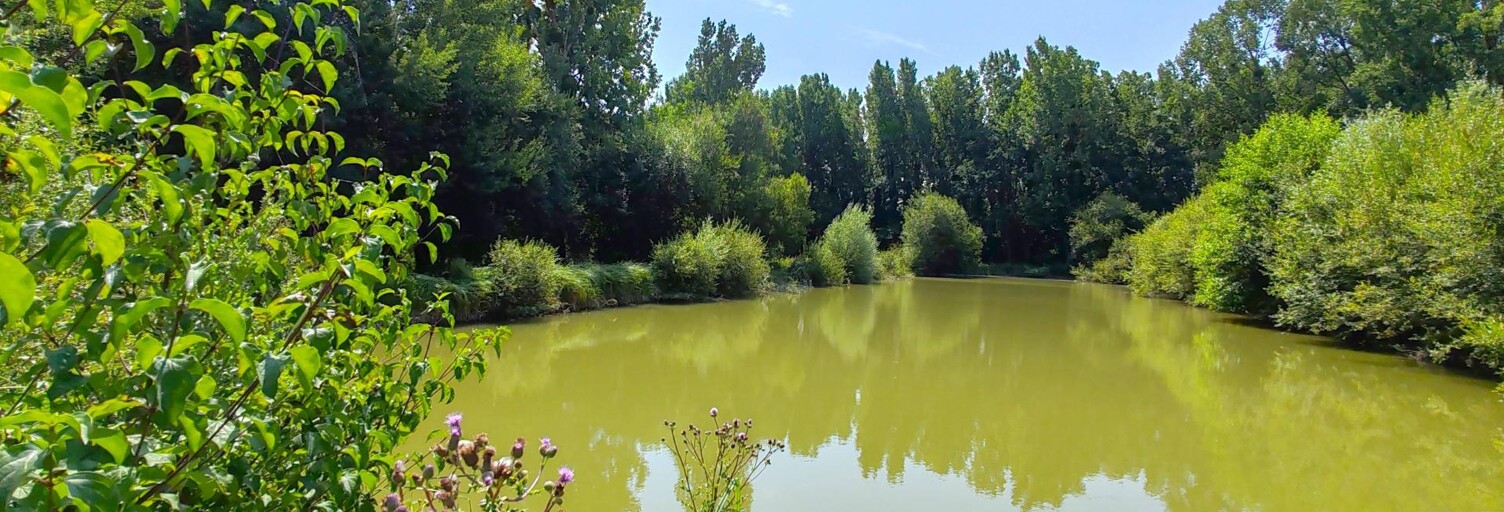 Maison 7 Pièces 264 m² à vendre à Baugé-en-Anjou (49150)