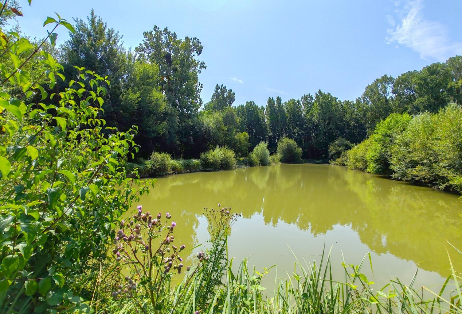 Propriété rurale de charme et son étang , au coeur de la nature ! — photo 1