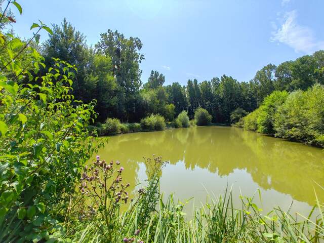 Propriété rurale de charme et son étang , au coeur de la nature ! — photo du bien