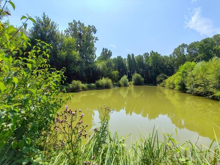Propriété rurale de charme et son étang , au coeur de la nature ! — photo 1