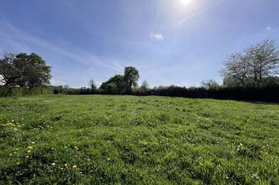 Terrain  35000 €