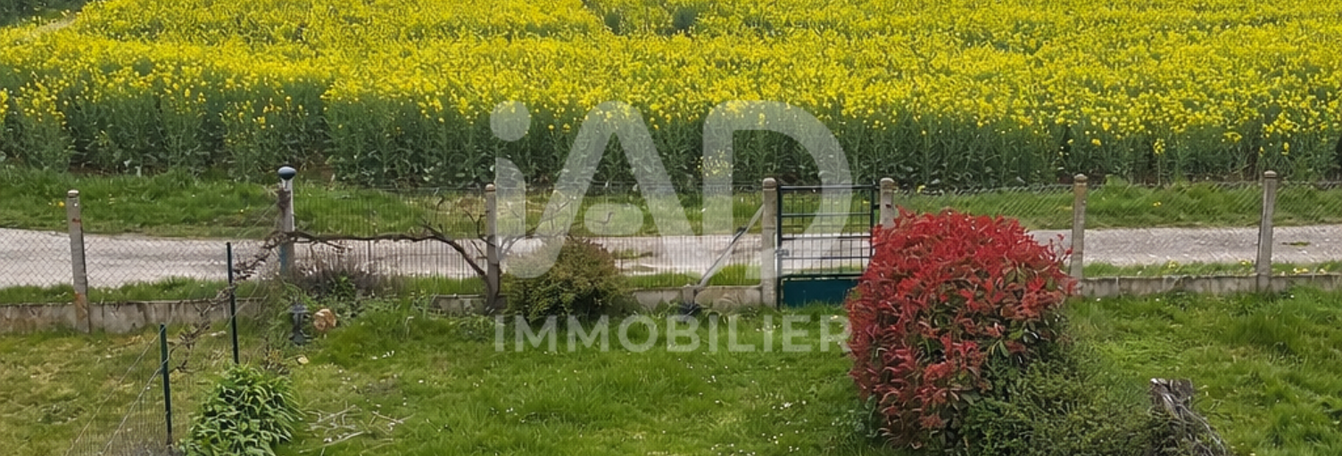Maison 4 Pièces 75 m² à vendre à Châtillon-Coligny (45230)