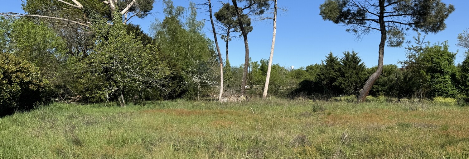 Terrain  3896 m² à vendre à Chamadelle (33230)