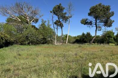Terrain  39000 €