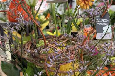 Commerce  125000 €